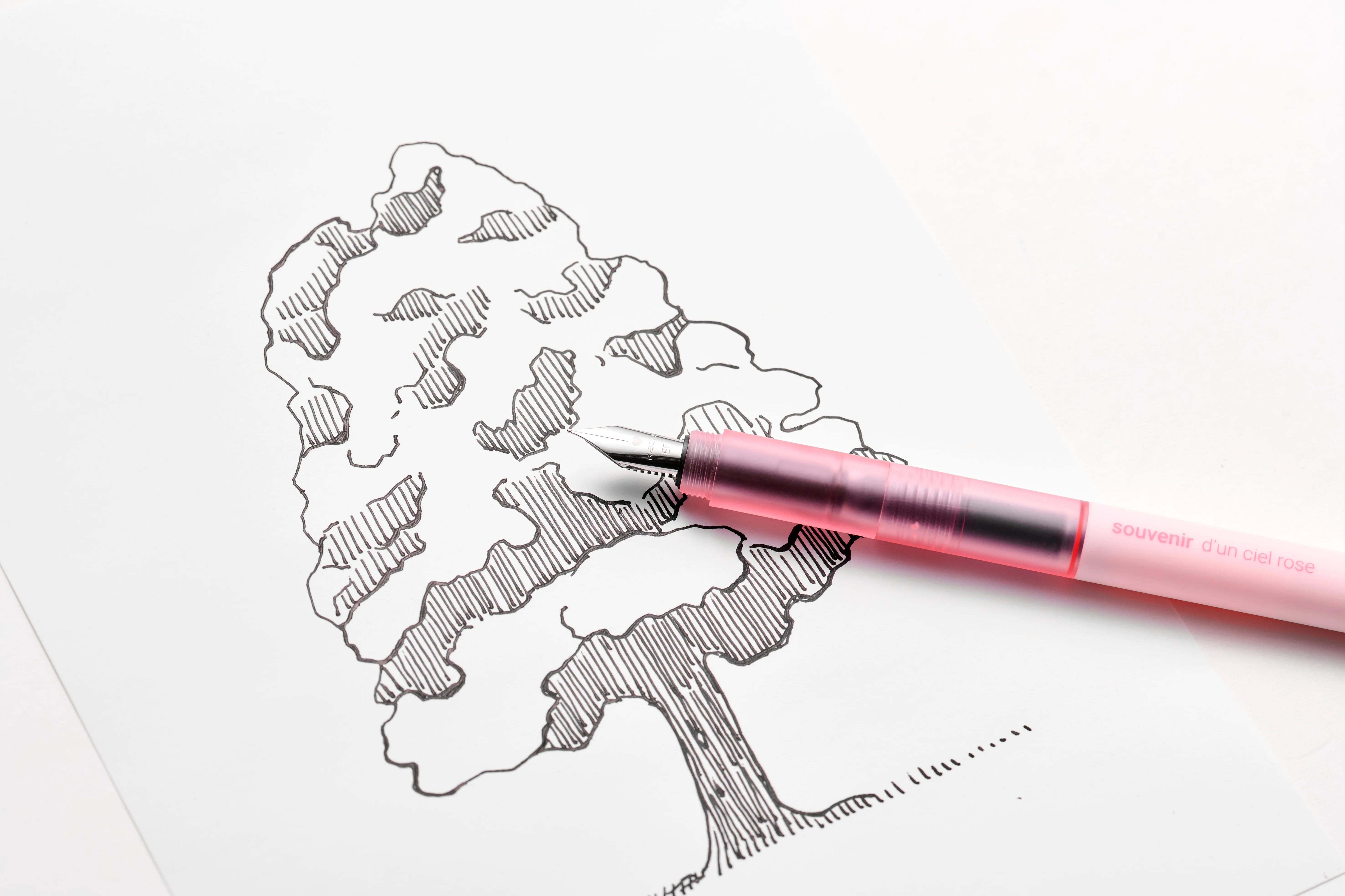 First Fountain Pen Spring Set - Image 6